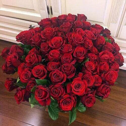 Реальное фото красных роз MarliskaB on Twitter Beautiful flowers, Beautiful roses, Red roses