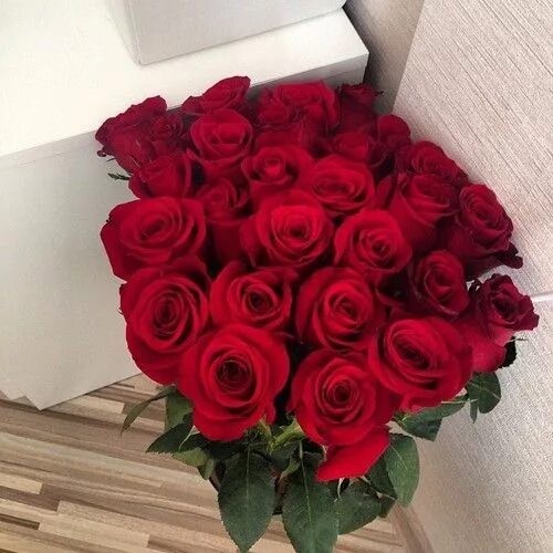 Реальное фото красных роз Pin by Etta Arlene on Love Aesthetic roses, Red roses, Flower gift