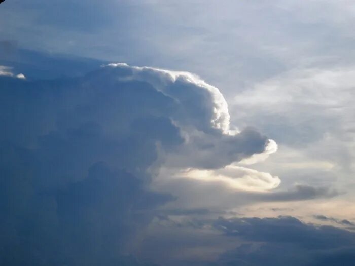 Реальное фото облаков A happy Dolphin over Phnom Penh, Cambodia. Clouds, Angel clouds, Beautiful sky