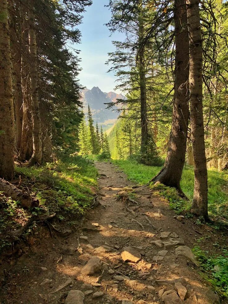 Реальное фото природы Four Pass Loop Snowmass Wilderness CO. OC 1536X2048 https://ift.tt/37zOwx2 Lands