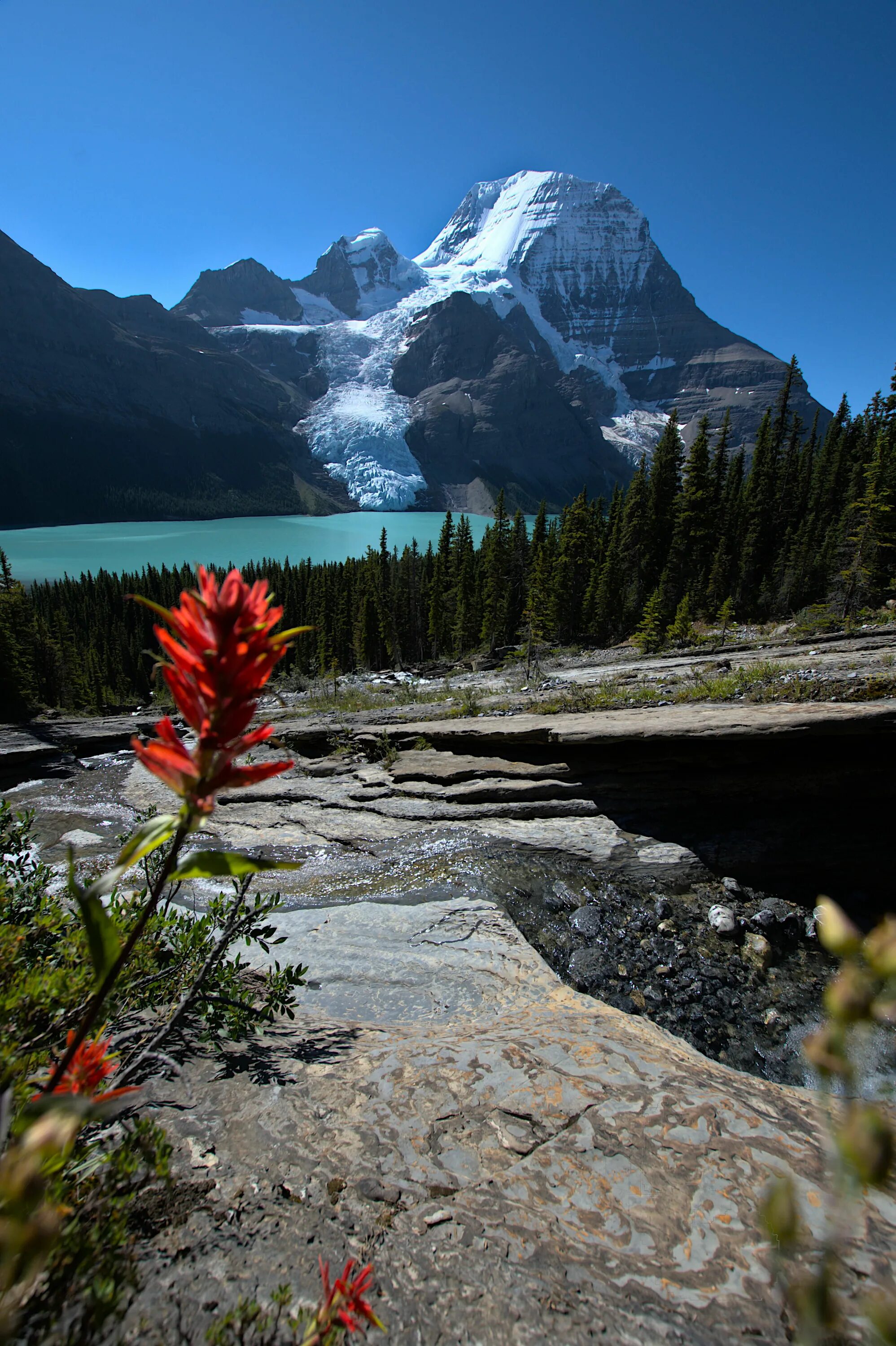 Реальное фото природы Pin on Nature Scenery