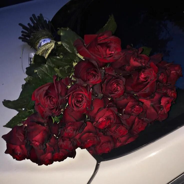 Реальное фото цветов ночью Instagram Russia Flowers bouquet gift, Bunch of red roses, Flowers bouquet