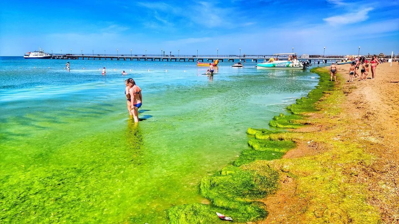 Много ли в Анапе коренного населения? Весточка с юга ☀ Дзен