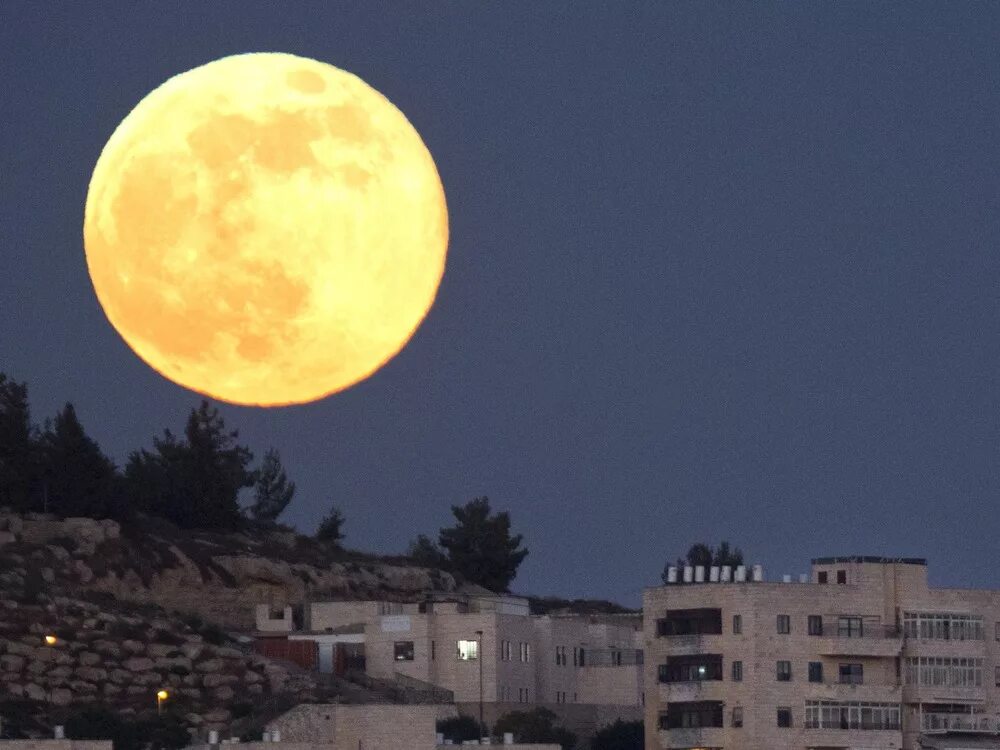 Реальные фото большой луны Supermoon looks close enough to touch