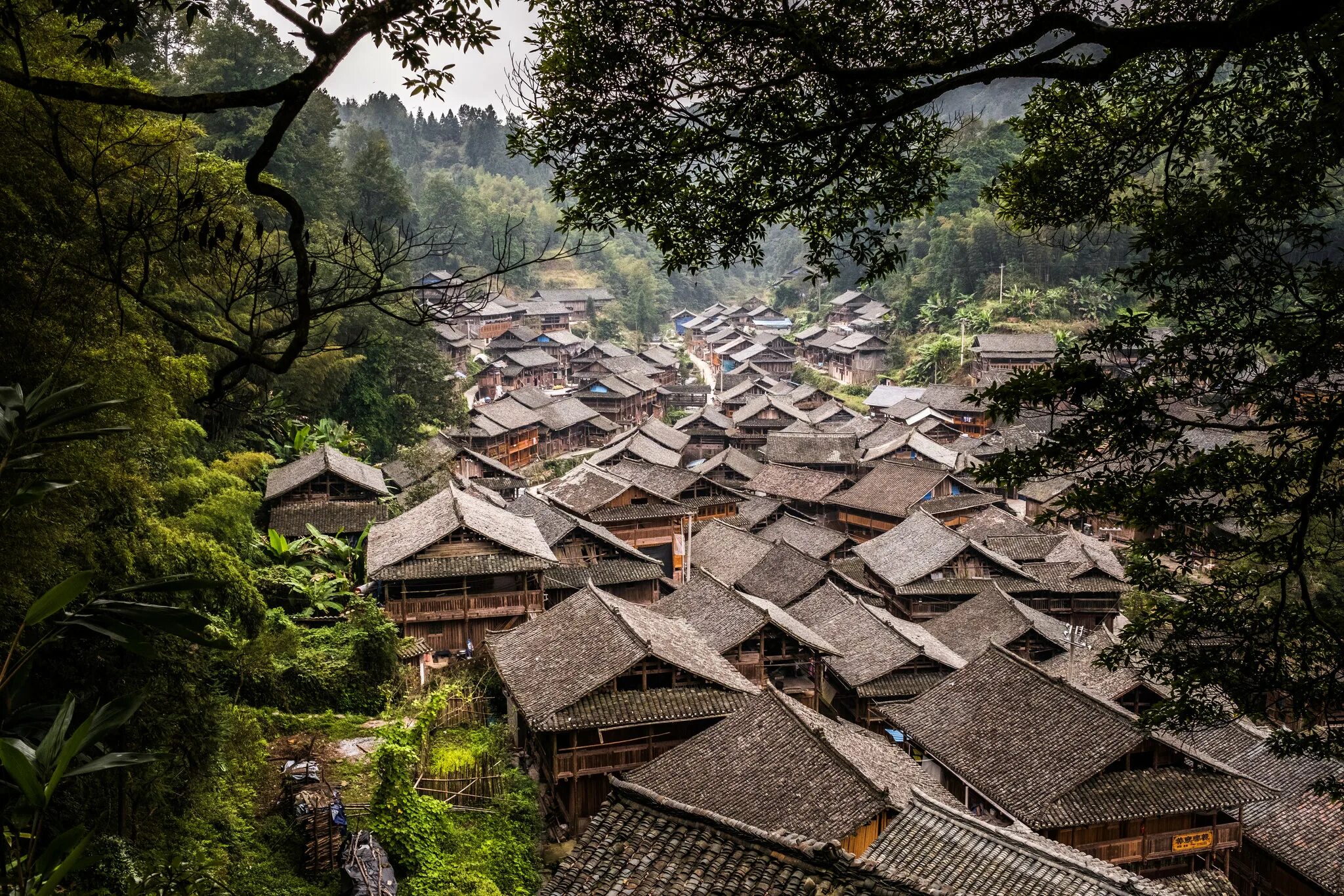 Реальные фото китая Chinese Village Keeps Alive a Tradition of Indigo Dyeing - The New York Times