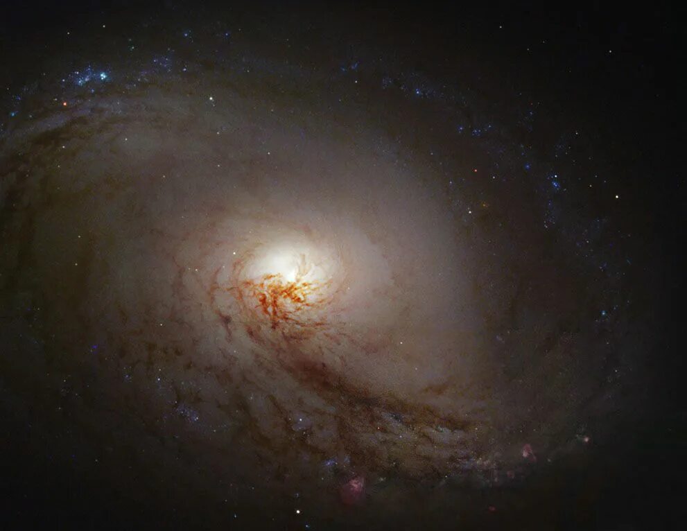 Реальные фото космоса без фотошопа galaxy M96 Hubble space telescope, Hubble telescope, Hubble