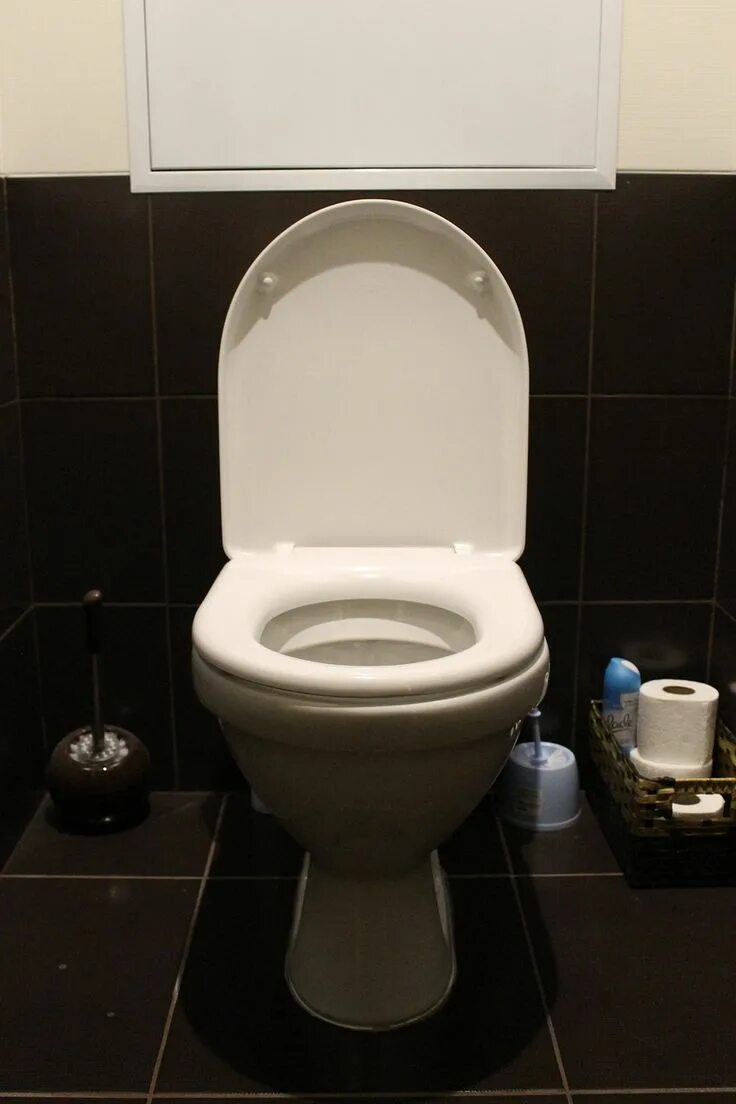 Реальные фото туалета What You Can & Can't Flush Down The Toilet - Better Meets Reality New toilet, To