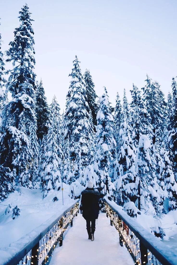 Реальные зимние фото Experience the Magic of Christmas at Grouse Mountain