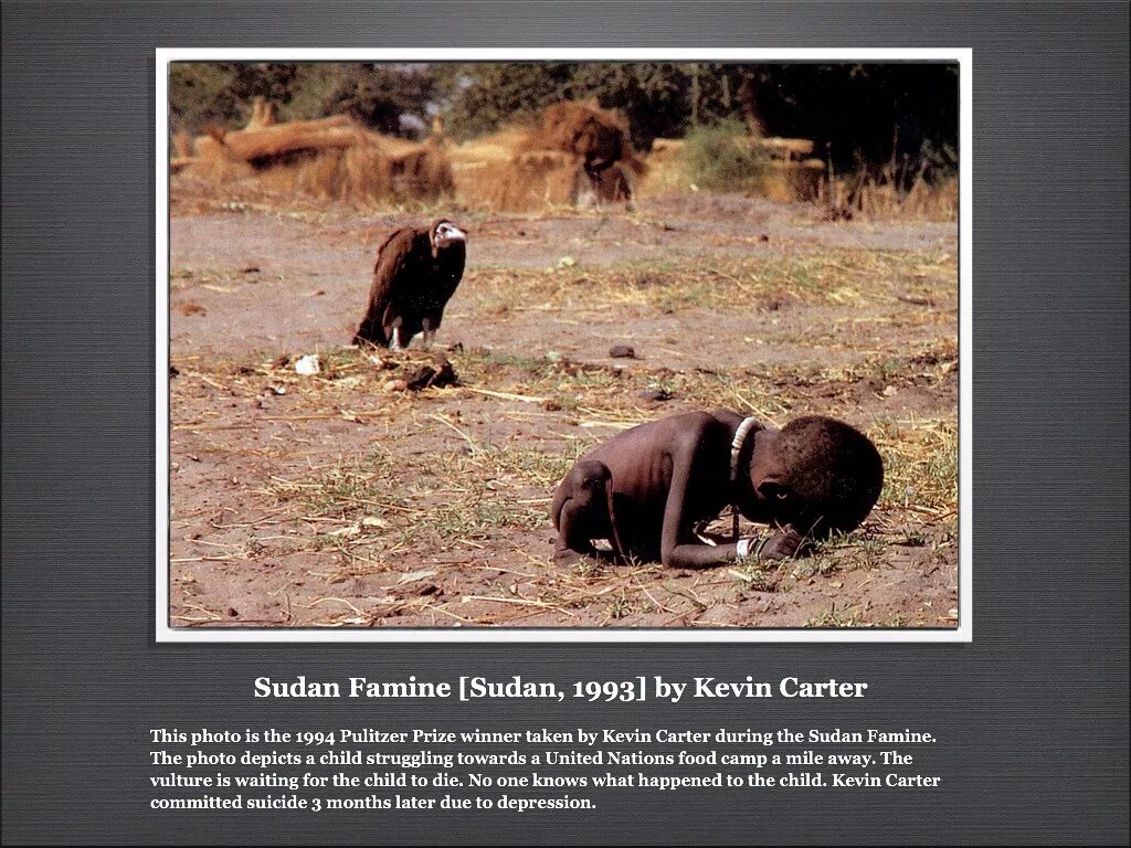 Ребенок и стервятник история фото Sudan Famine Sudan, 1993 by Kevin Carter Common Grounds Project Flickr