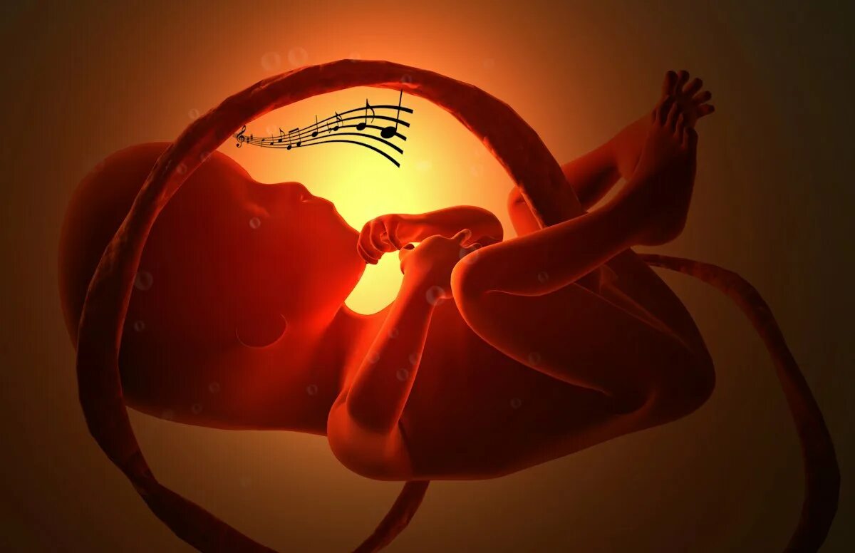 Ребенок внутри фото Serenade Your Baby From Within the Womb via This Musical Tampon