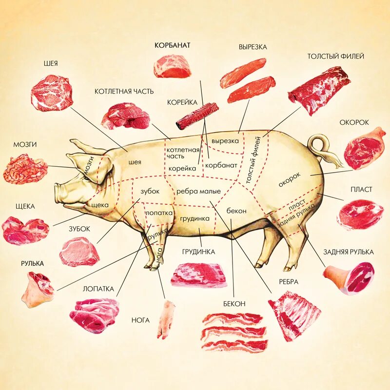 Реберная часть свинины фото Что такое бекон, из какой части свинины его делают - статья компании "Ховренок"