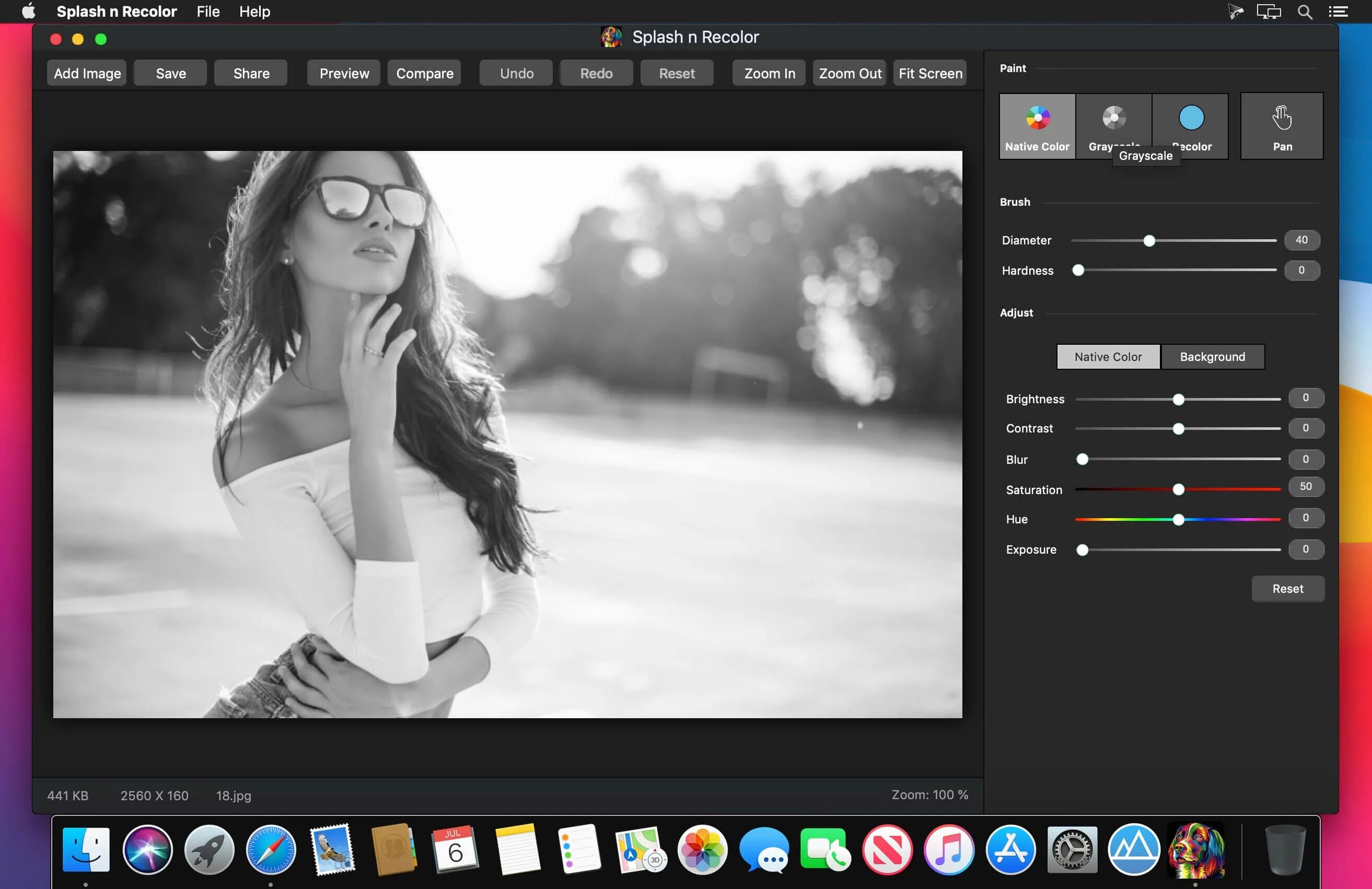 Редактор фото черно белый Splash n Recolor 4.3 download macOS