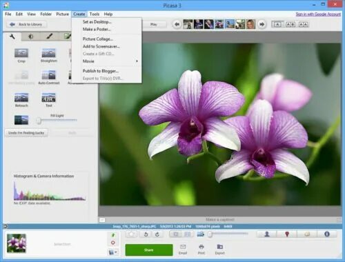 Редактор цветов фото Picasa 3.9 Photo Management Picture Album Manager Software Windows Mac CD eBay