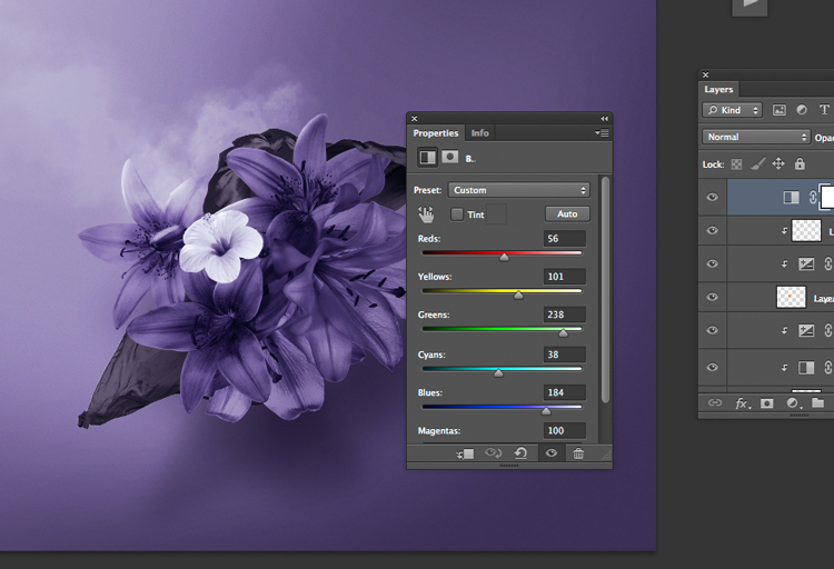 Редактор цветов фото Designer Passport: Photoshop Flower Tutorial Shutterstock