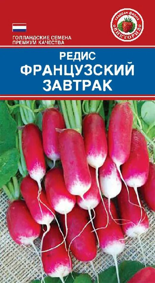 Редис французский завтрак фото отзывы описание Редис Французский завтрак