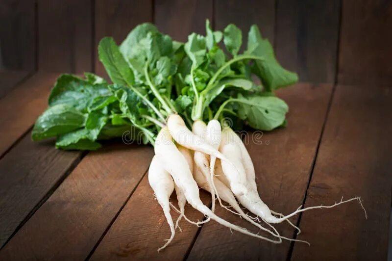 Редька белая фото Fresh daikon radish stock image. Image of fresh, agricultural - 55565725