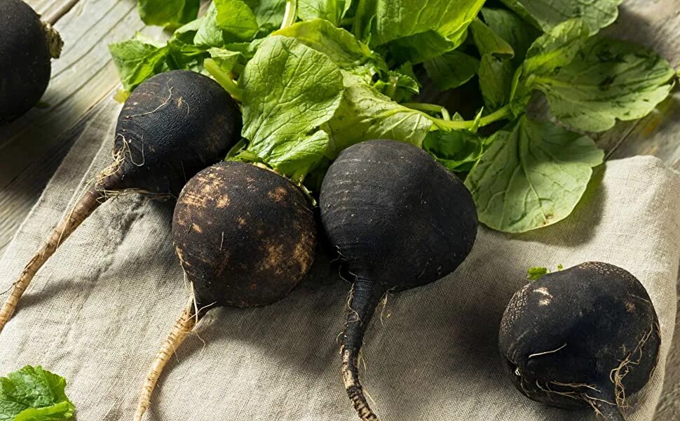 Редька фото овощ Amazon.com : Seed Needs, Black Spanish Radish Seeds - 500 Heirloom Seeds for Pla