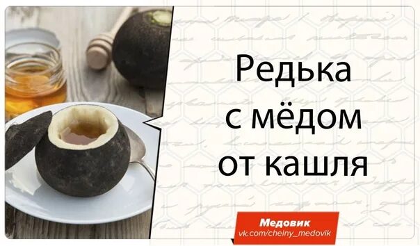 Редька с медом от кашля фото Как сделать редьку с медом от кашля CoffMachines.ru