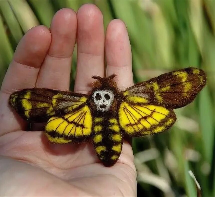 Редкие бабочки мира фото Amazing felt moth pin by Pammy Dawn: http://www.facebook.com/pages/Pammy-Dawn/12