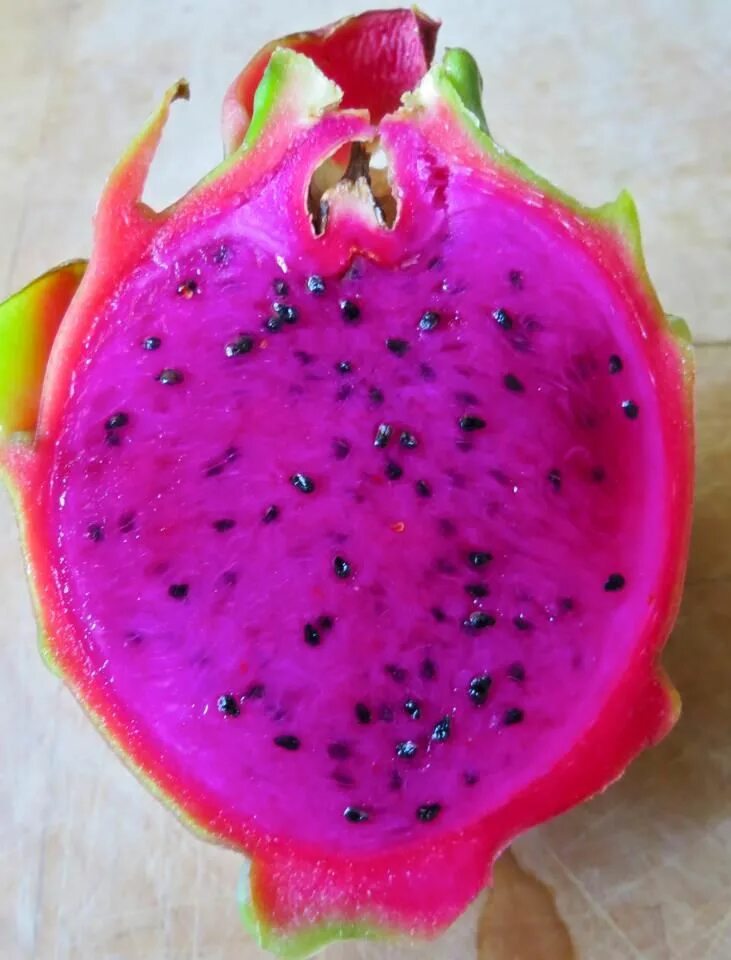 Редкие фрукты фото и названия Dragon Fruit -- adding to the many incredible experiences Belize gave to my life