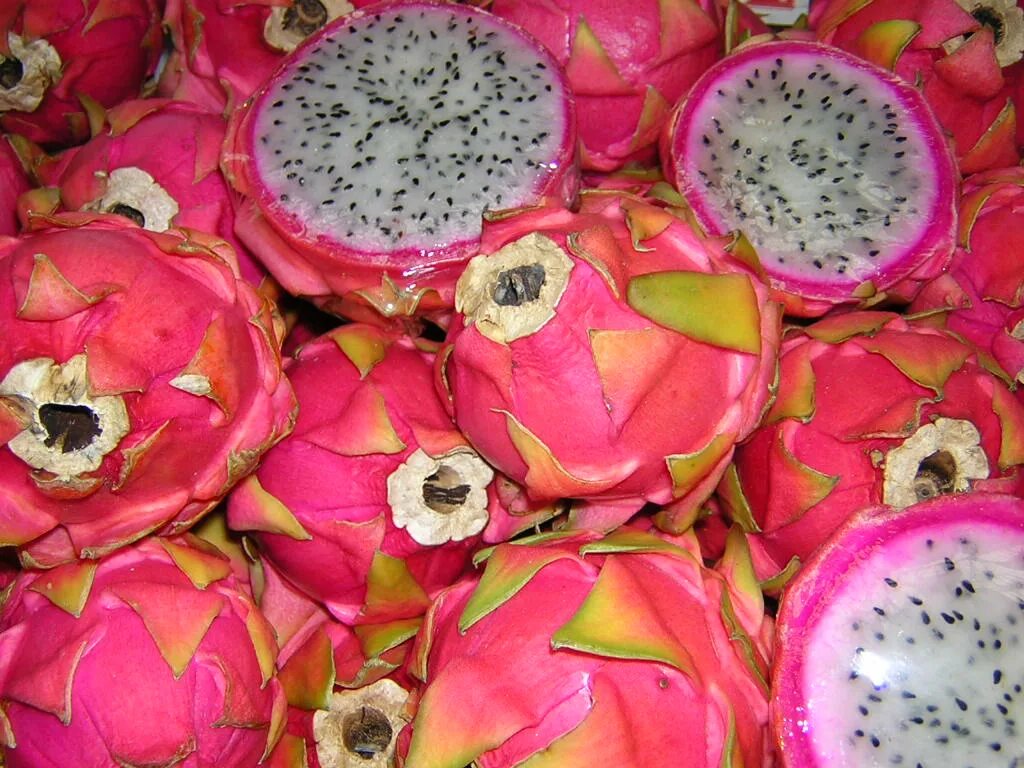 Редкие фрукты фото и названия Файл:Pitahaya.jpg - Википедия