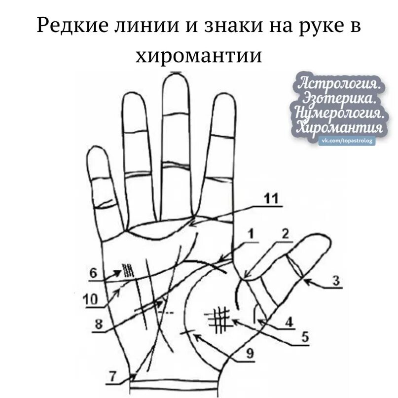 Редкие линии на ладони значение фото Редкие линии и знаки на руке в хиромантии. Относитесь ли вы к этим особенным люд