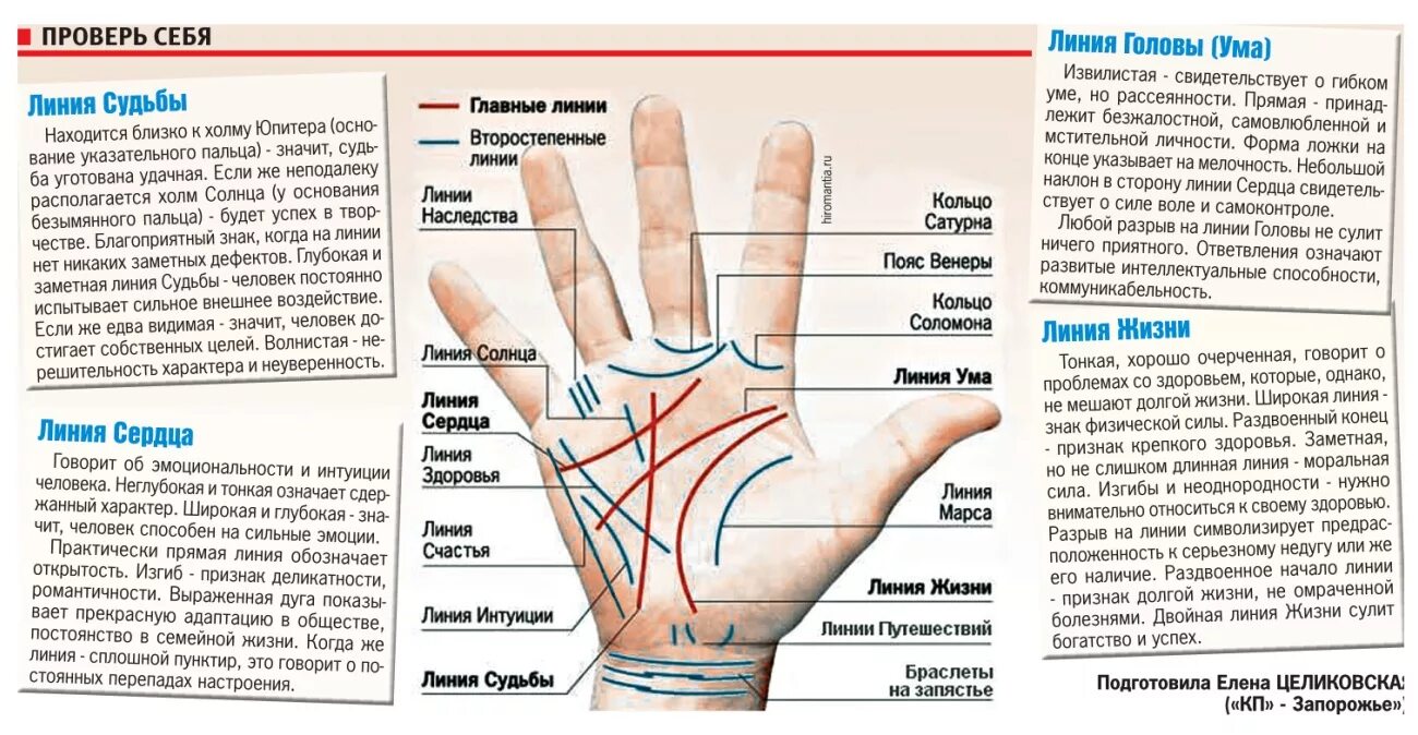 Редкие линии на ладони значение фото Линии на правой руке и их значение