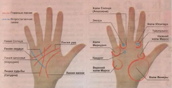 Редкие линии на ладони значение фото Знаки багатства на руках. ВКонтакте