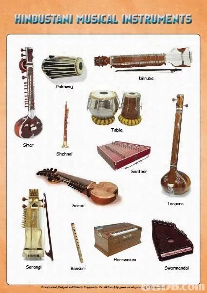 Редкие музыкальные инструменты названия и фото 10 популярных идей на тему "indian musical instruments photography" для вдохнове