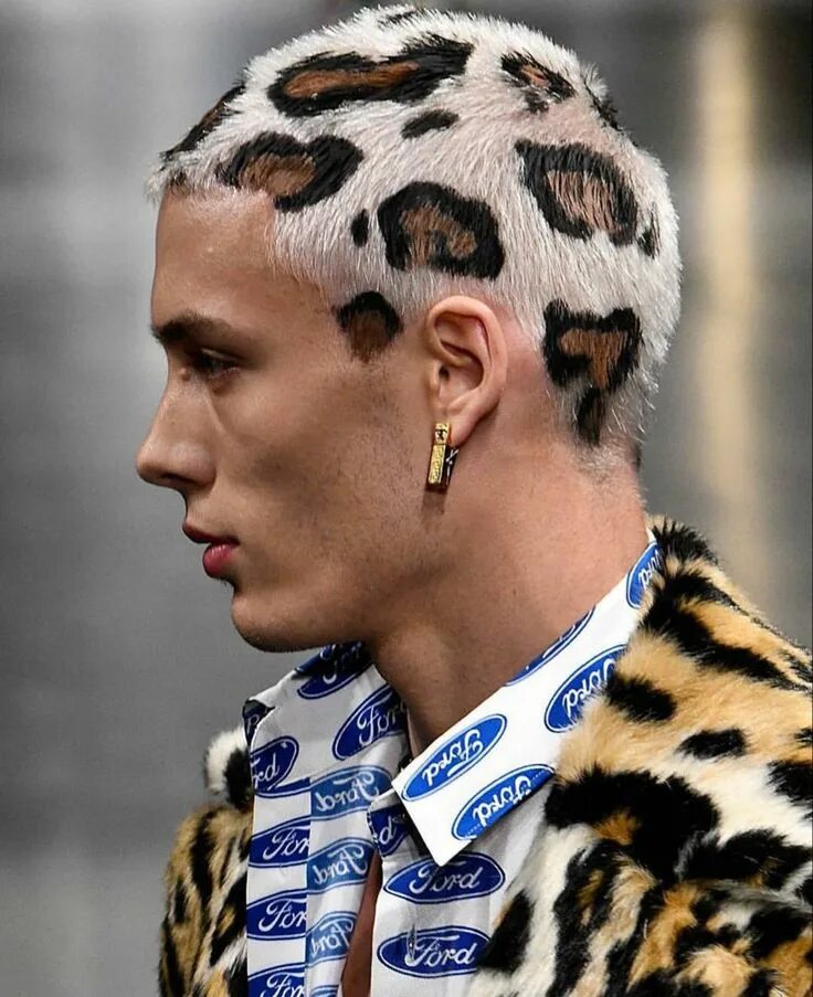 Редкие прически Pin by Rodolpho Ribeiro on Humor Leopard print hair, Dyed hair, Men hair color