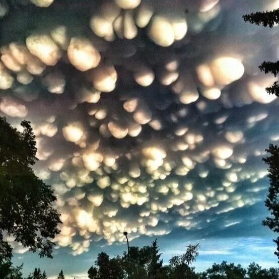 Редкие виды облаков фото и их названия A rare cloud formation called a mammatus in Regina, Saskatchewan. - Imgur Mammat