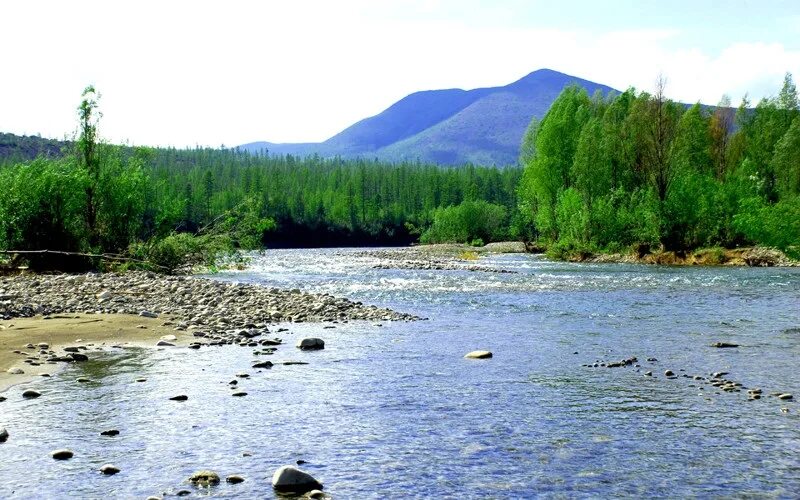 Река алдан фото Рыболовный тур на реку Белянка и в устье реки Алдан