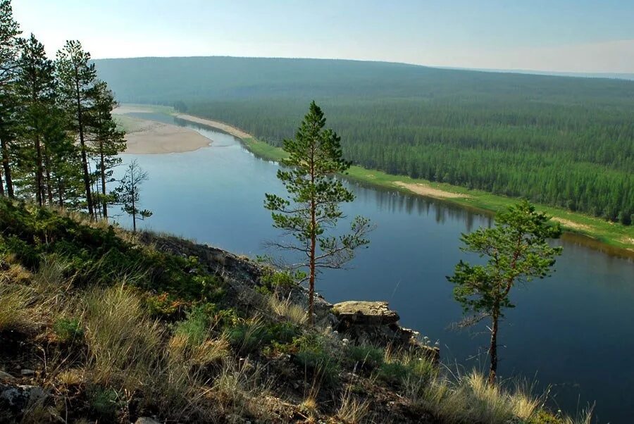 Река алдан фото Река Амга Якутия. © T1ourist. 2023 ТУРИСТ - 47 ВКонтакте