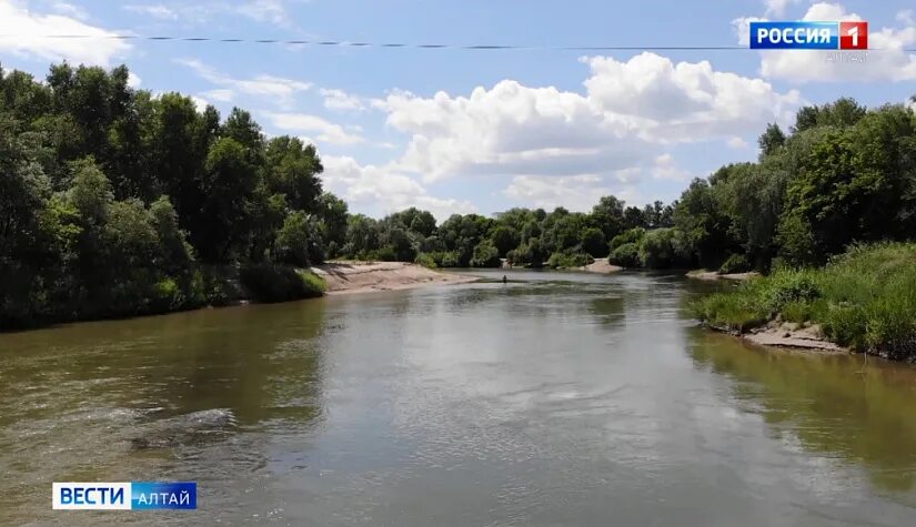 Река алей фото В Рубцовском районе в реке Алей утонул ребёнок