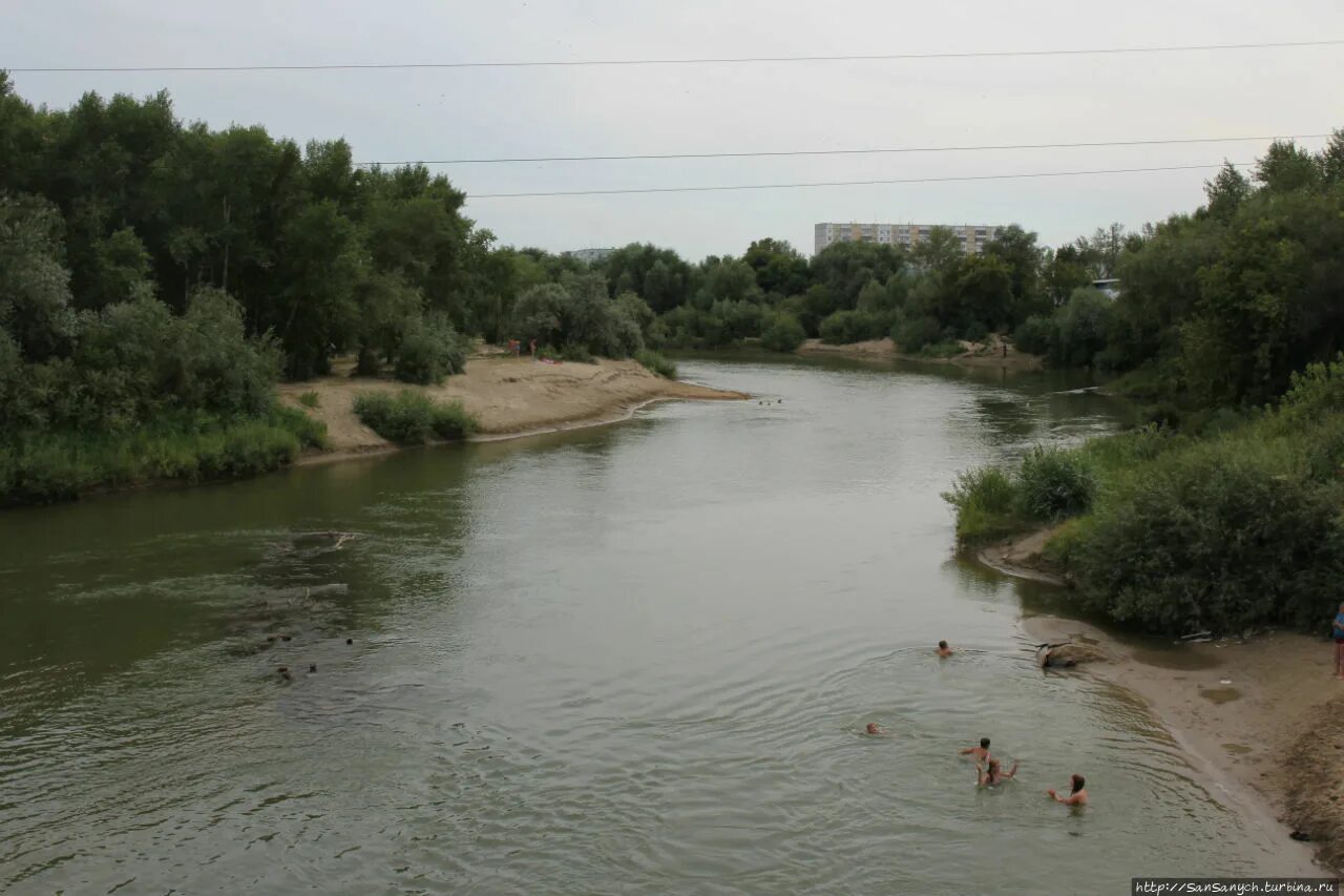 Река алей фото Река аллей: найдено 86 картинок