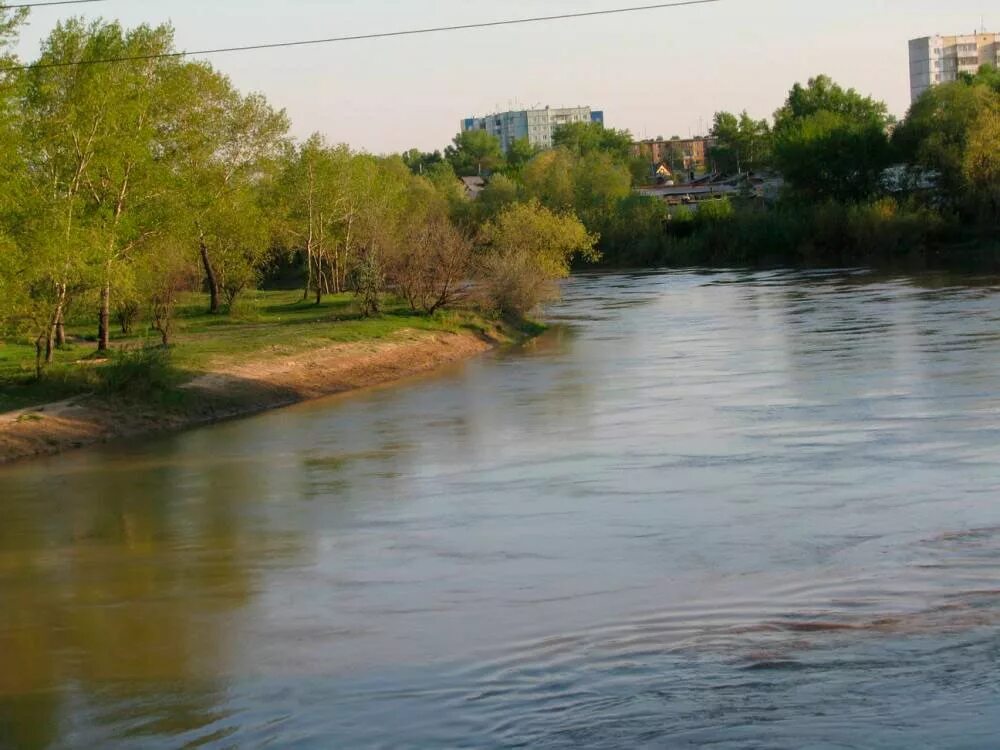 Река алей фото алей Местное время - новости Рубцовска и Алтайского края