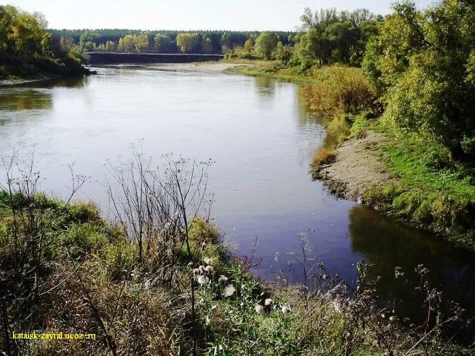 Река алей фото Фото Реки Алей - 93456439.ru