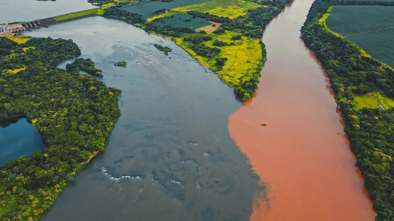 Река амазонка фото Дикая природа Амазонки. Документальный фильм дикая природа NAT GEO WILD BBC - Yo