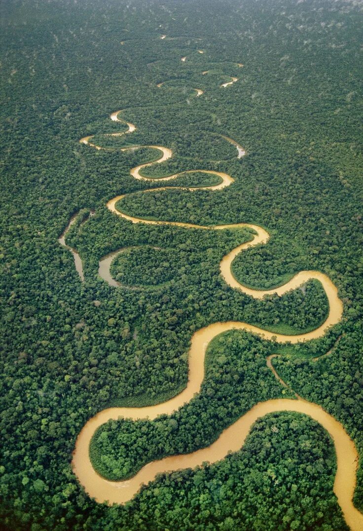 Река амазонка фото 2024 год Vacaciones a favor de la corriente: los ríos más viajables del mundo River, Peru