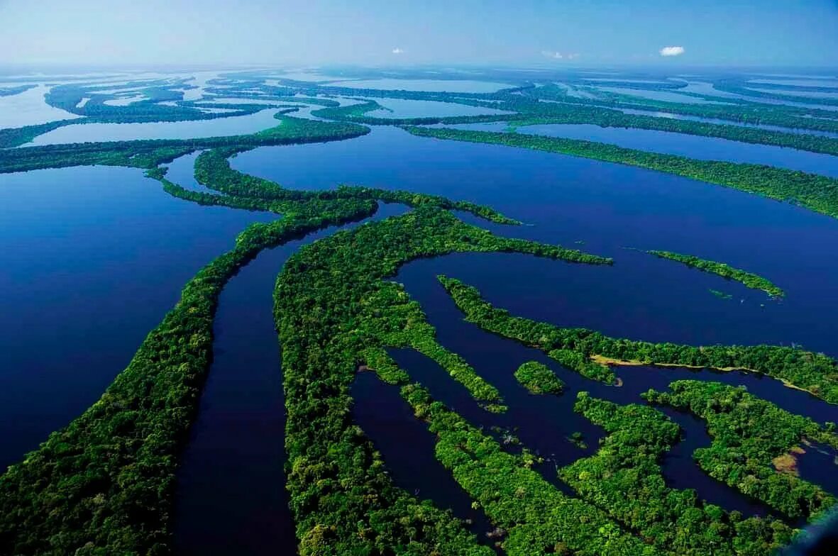 Река амазонка фото 2024 год Parque Nacional de Anavilhanas, Ново-Айрао: лучшие советы перед посещением - Tri