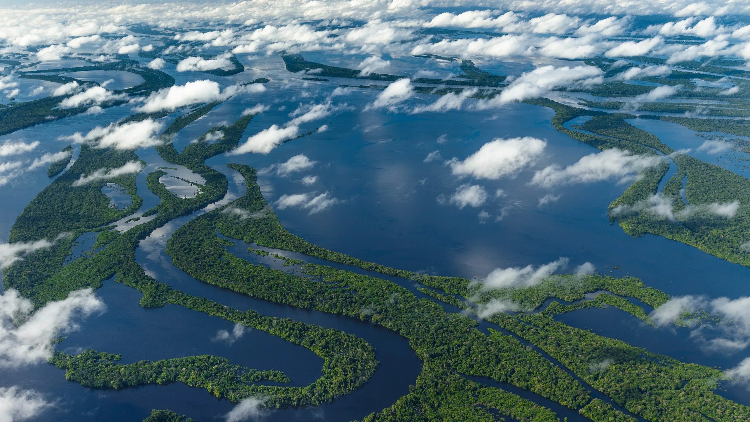 Река амазонка фото 2024 год Why the Amazon River Can't Be Crossed By Bridge Condé Nast Traveler