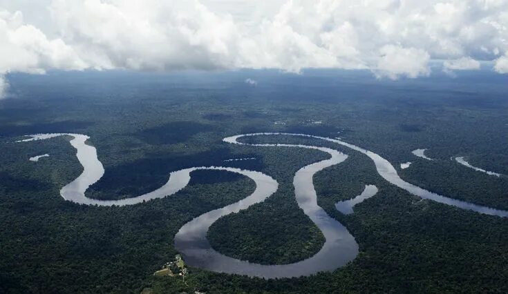 Река амазонка фото Coral Reef Found In Amazon River: Scientists Astounded, Unique Ecosystems Alread