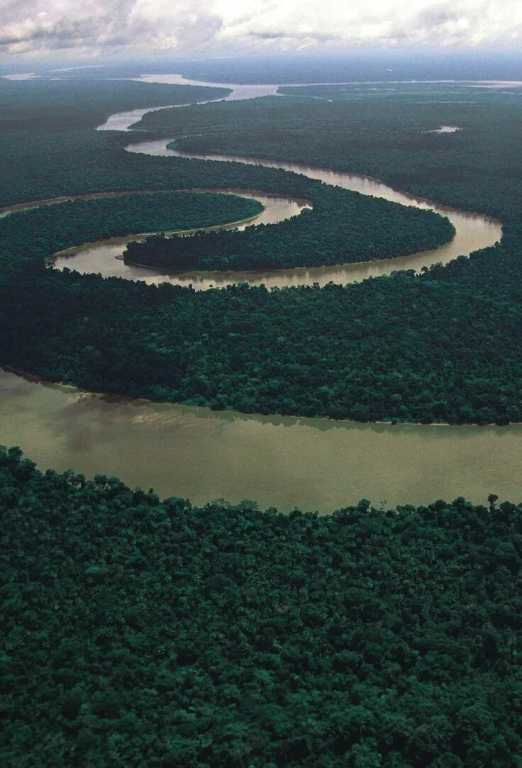 Река амазонка фото сверху Meandering Tigre river, Peruvian Amazon - Next Year Travel All Summer!! Amazon r