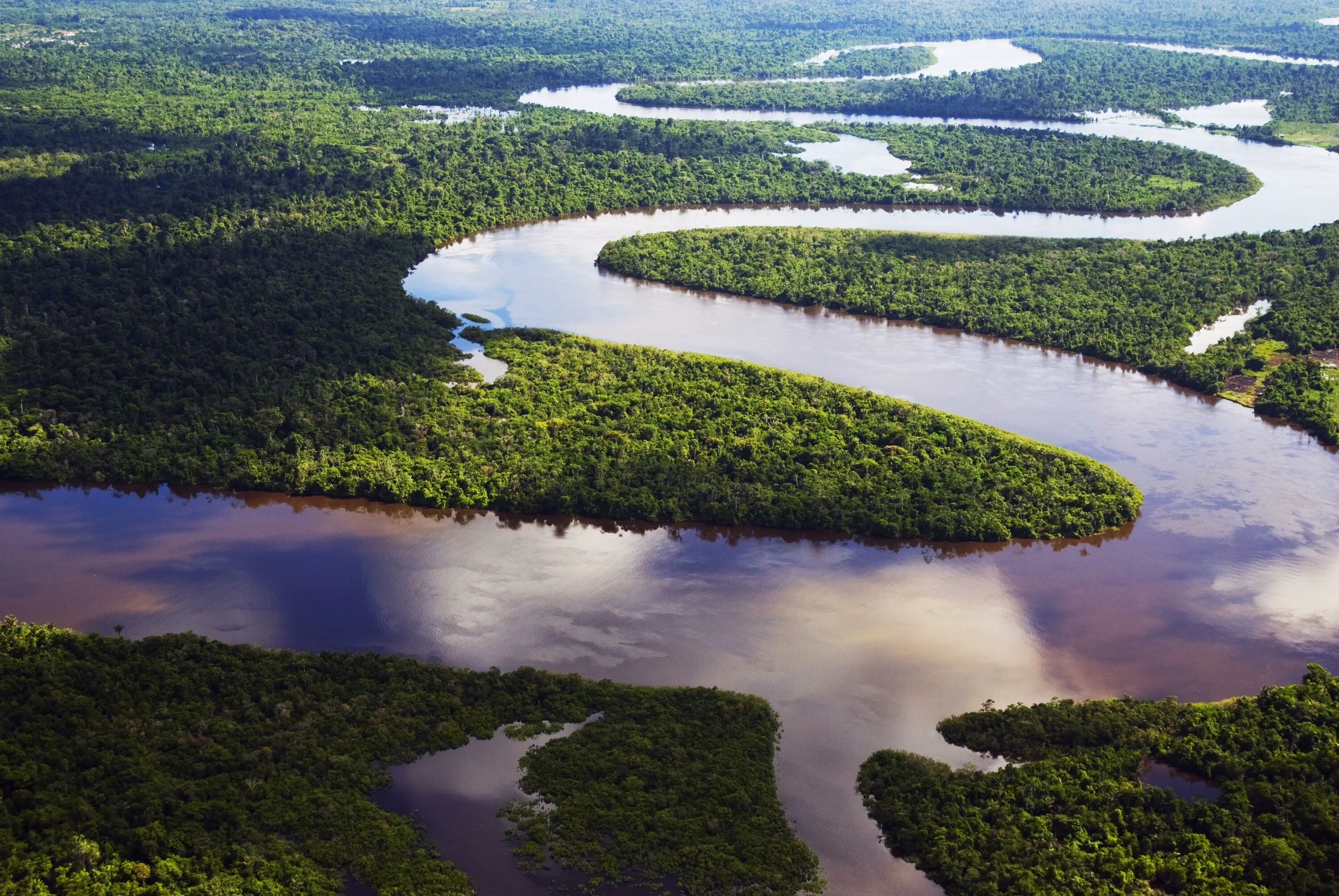 Река амазонка фото сверху The Amazon Forest was a massive experiment that got out of hand 8,000 years ago 