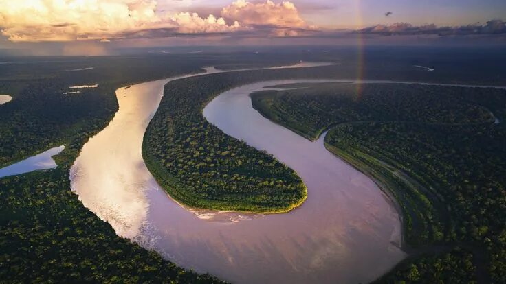 Река амазонка фото сверху L'Amazonie, une forêt tropicale en danger WWF France National parks, San buenave