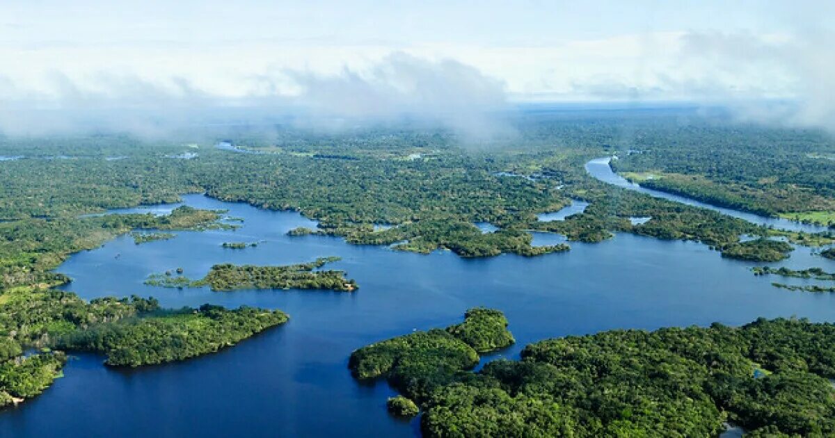 Река амазонка фото сверху The Fate Of The Amazon: Fires And Deforestation Connecticut Public