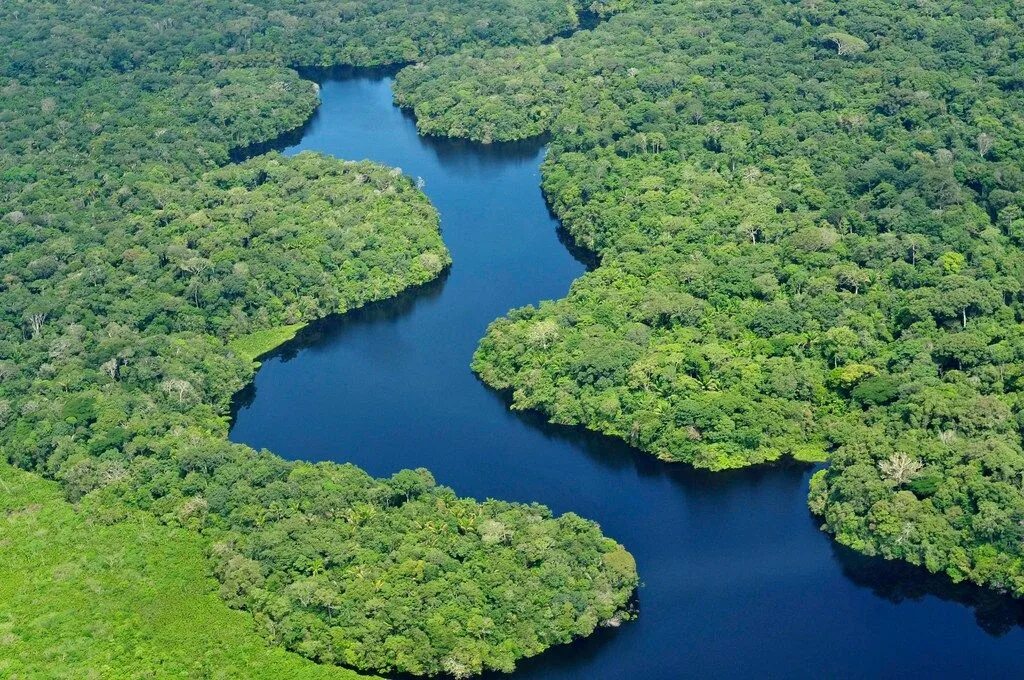 Река амазонка фото сверху 10 Amazing Facts About the Amazon Wonders of the world, Amazon rainforest, Brazi