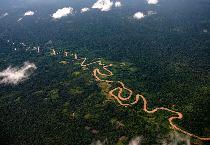 Река амазонка фото в хорошем качестве Amazonka Río amazonas, Amazonas, Parques nacionales