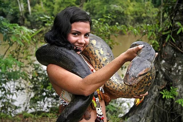 Река амазонка и ее обитатели фото Wildlife, Iquitos, Peru Iquitos, Peru, Peruvian women