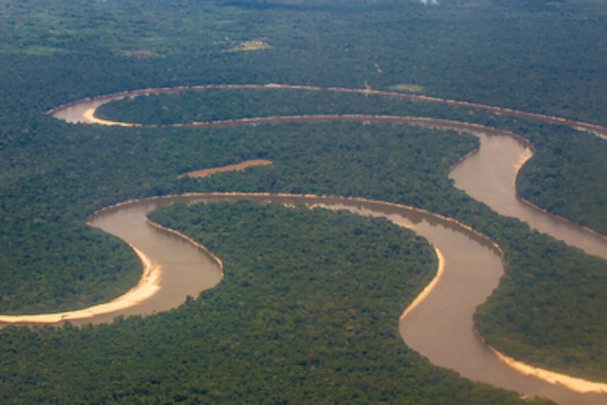 Река аракара в бразилии фото и описание Amazon forest loss threatens five states News Eco-Business Asia Pacific